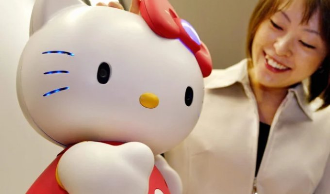 How a Bow-Wearing Cat Became the Iconic Brand Hello Kitty (8 photos)