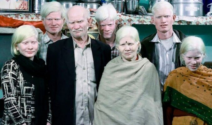 В Индии живет самая большая в мире семья альбиносов (17 фото)