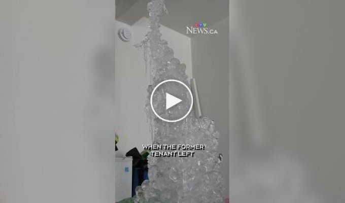 Все покрыто льдом: экономия на отоплении обернулась катастрофой для владельца квартиры