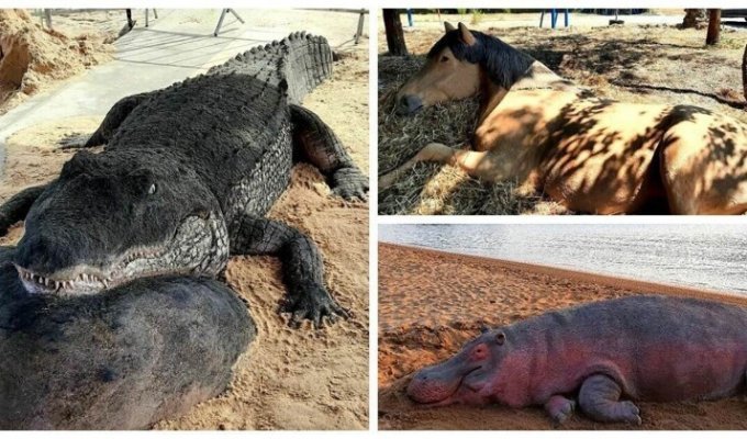25 реалістичних скульптур тварин, зроблених із піску (26 фото)