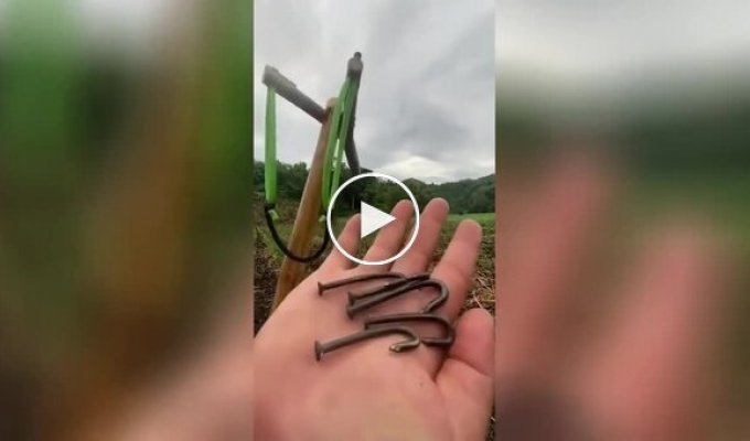 На відео зняли пріоритети чоловіків після 30 — саморобна рогатка з цвяхами
