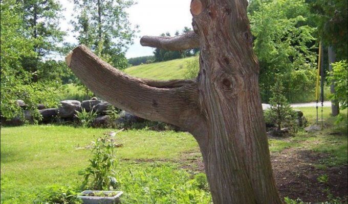 Скульптура из дерева (5 фото)