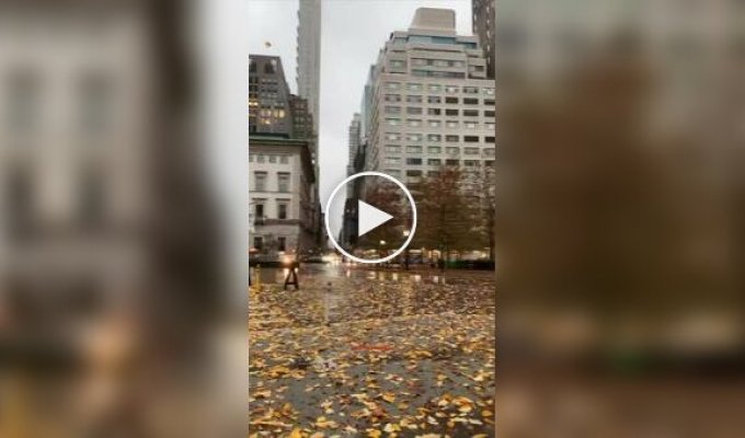 Simply beautiful autumn in New York