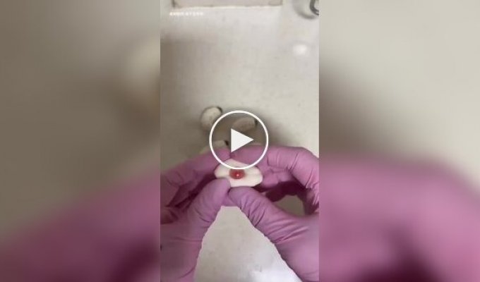 Блюдо, которое точно удивит гостей