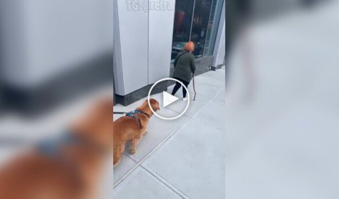 Хороший мальчик едва не перешел на темную сторону