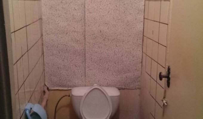 Оригинальный вариант отделки туалета (14 фото)