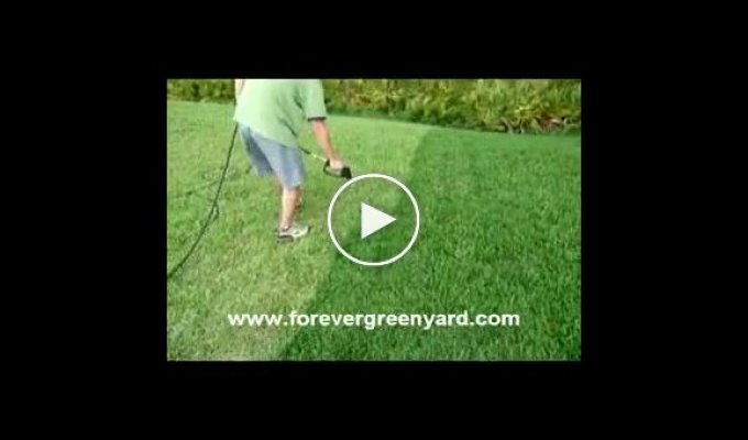 Как сделать траву зеленее