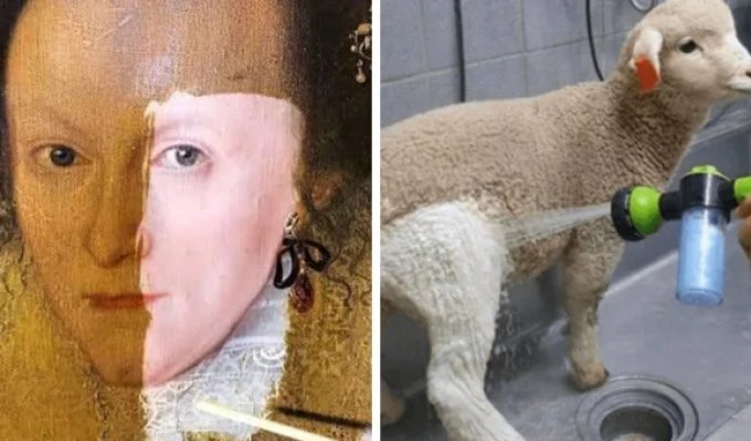 17 фотографий вещей до и после того, как за них взялись настоящие адепты чистоты (18 фото)