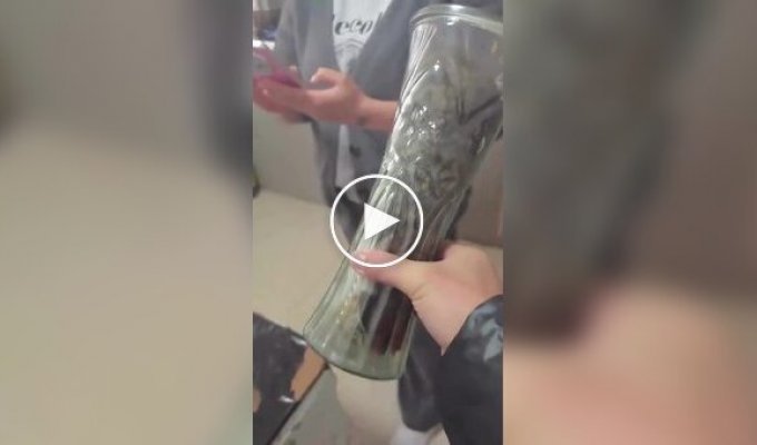 Ваза для найкрасивішої і милої квітки