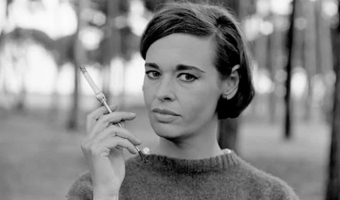 Яскравий світанок, тихий захід сонця: померла Глорія Вандербілт, яка надихнула автора роману «Сніданок у Тіффані» (14 фото)
