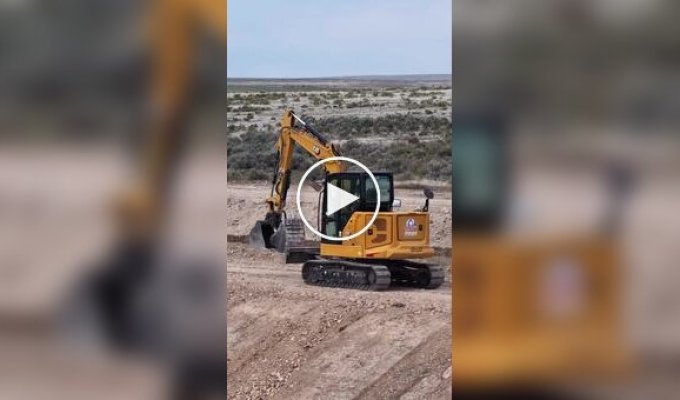 Workers reenacted a scene from "The Lion King"