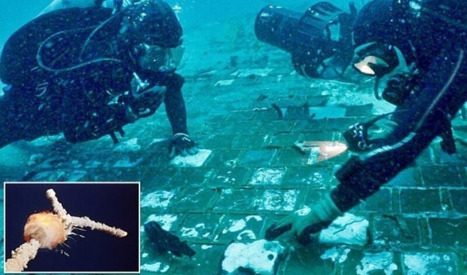 Divers found part of the exploded "Challenger" (10 photos + 2 videos)