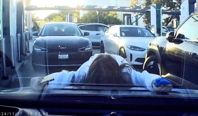 A girl tried to take someone else's parking space, but was given a ride (7 photos + 1 video)