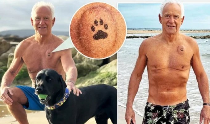 Верный друг спас жизнь хозяину, потерявшему сознание на пляже (6 фото)
