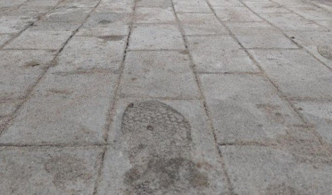 В Калининграде нашли инновационный способ укладки тротуарной плитки (3 фото)