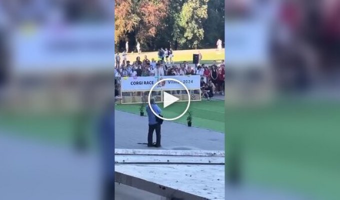 A corgi race in Vilnius immediately ended in failure