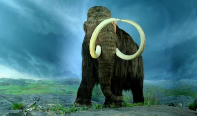 5 Interesting Extinct Elephants (11 photos)