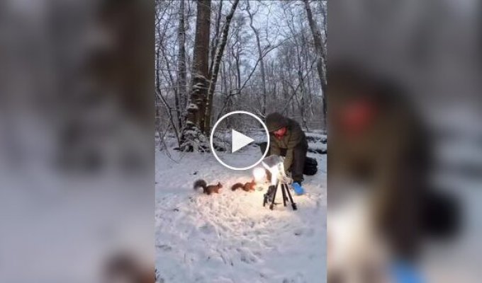 Забавные кадры из жизни животных и птиц