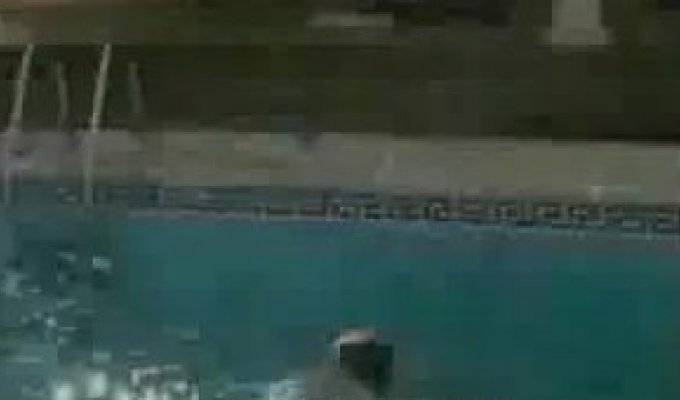 Неудачный прыжок в бассейн
