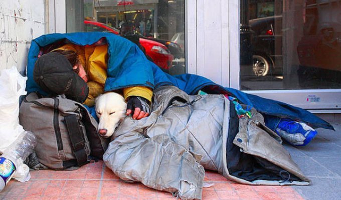 Собакам плевать на деньги, им нужна только любовь (25 фото)