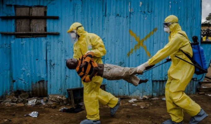 Распространение вируса Эбола (18 фото)