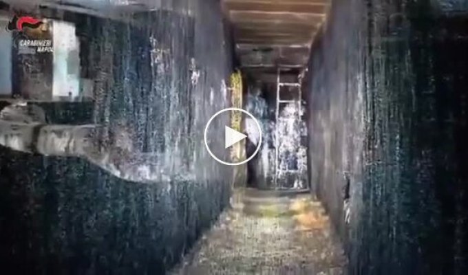 Нові подробиці пограбування в Неаполі