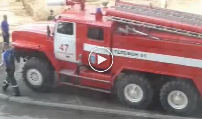 Как пожарные спасают кошек