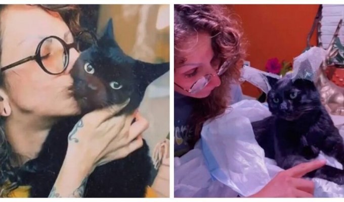 The woman did not want to part with her dead cat (6 photos + 1 video)