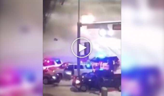 Полицейская собака сделала перерыв во время погони за нарушителем