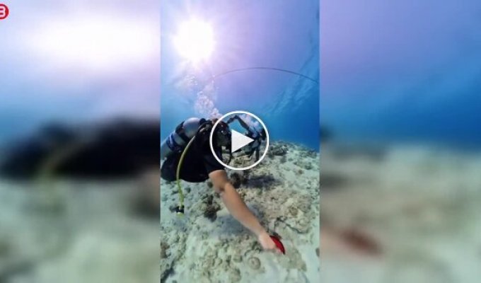 Diving in Egypt turns into a scandal: a woman accused an instructor of harassment