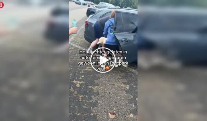 Park visitors rescued a dog locked in a hot car
