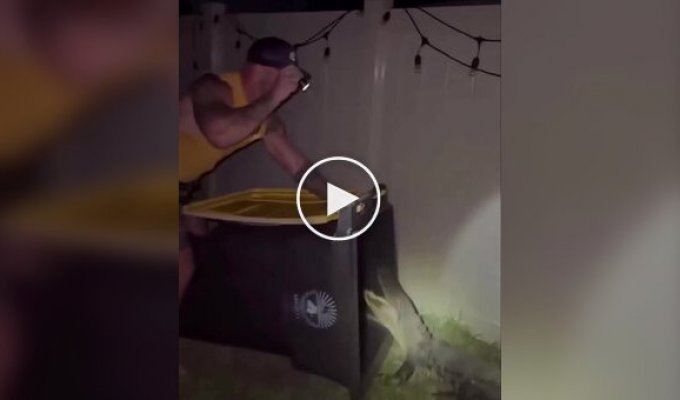 Победить аллигатора можно мусорным баком, выяснили во Флориде