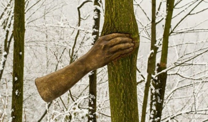 Бронзовая рука, сжимающая дерево почти 50 лет (5 фото)