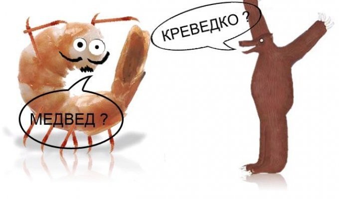 Йа креведко продолжает шагать по рунету (5 фото)