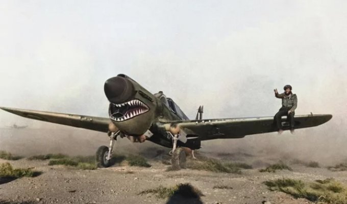 Редкие и интересные фотоматериалы с фронтов Второй Мировой Войны (21 фото)