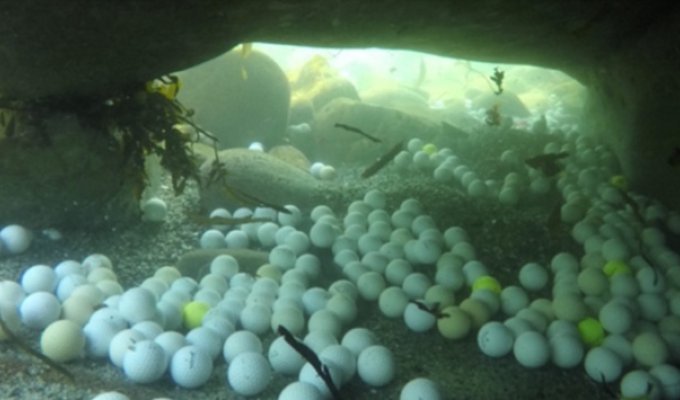Фридайверы достали из океана несколько тонн мячиков для гольфа (5 фото)