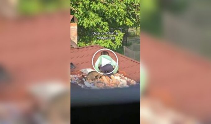 Мальчик устроил уютное место для отдыха с котиком прямо на крыше