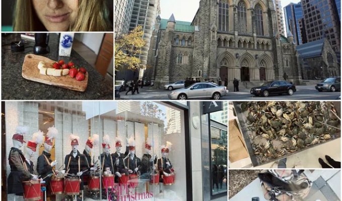 A Girl's Day in Toronto (66 photos)