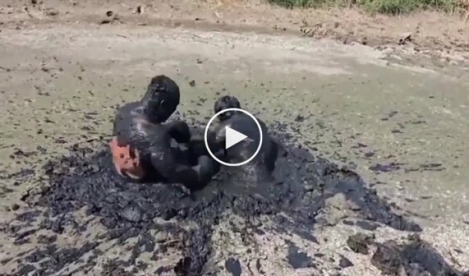 Мужчины устроили забавную битву в грязи