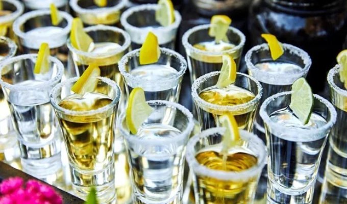 Жінка, яка випила в круїзі 14 шотів текіли, відсудила 250 тис. доларів за надмірне обслуговування (2 фото + 1 відео)