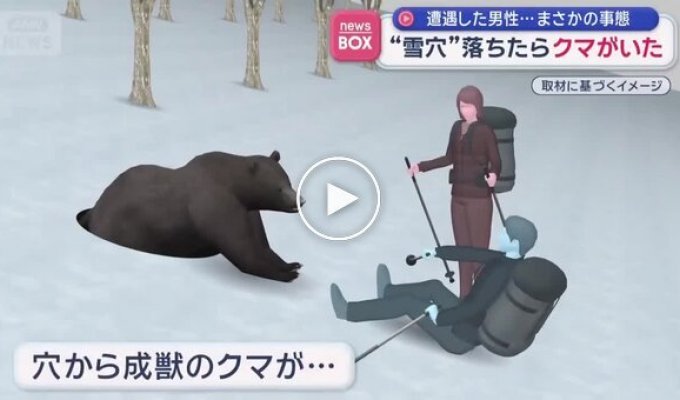 Японец провалился в берлогу к медведю и выжил