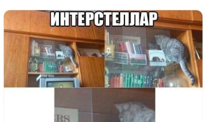 Подборка забавных твитов обо всем. Выпуск 780 (48 картинок)