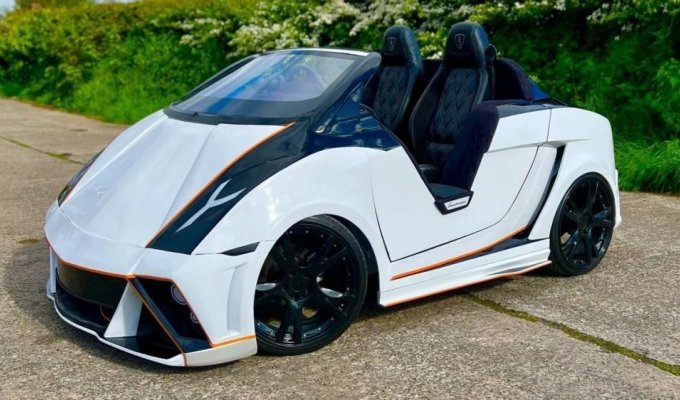 Smart ForTwo turned into a Lamborghini and trying to sell (7 photos)