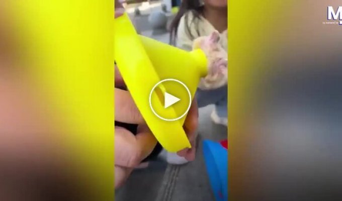 Hamster stuck in a toy