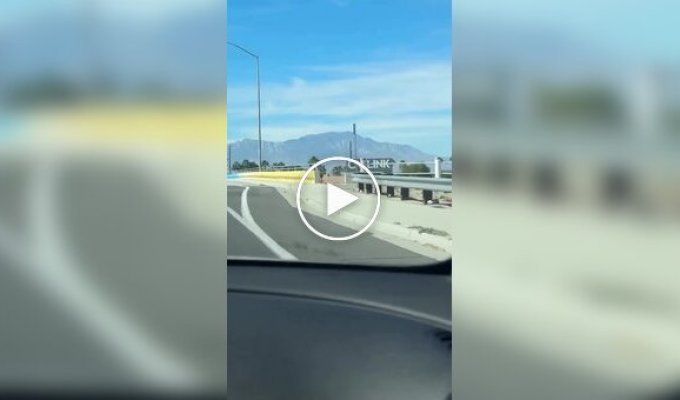 Необычный рисунок в Палм-Дезерт