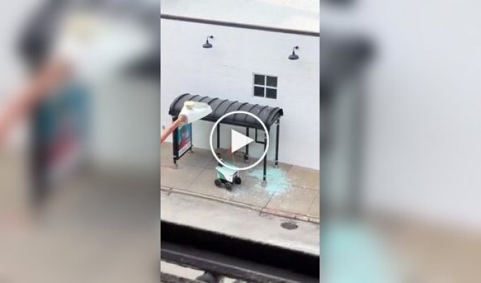 Робот-доставщик протаранил автобусную остановку