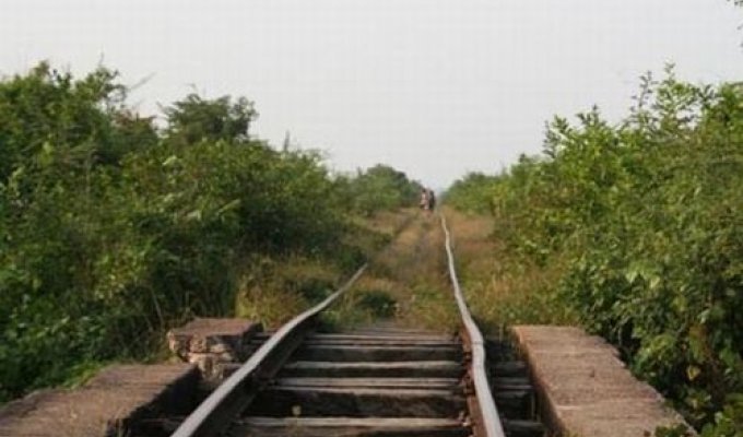  Бюджетная железная дорога (14 Фото)