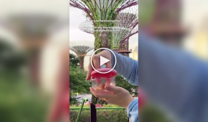 Забавная крышка контейнера