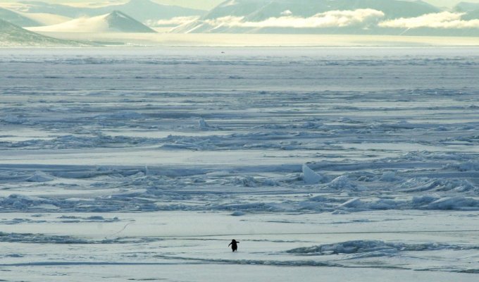  Красота Антарктики (32 фото)