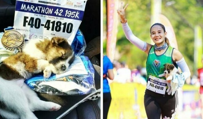 Участница марафона подобрала щенка на обочине и пробежала с ним ещё 30 километров до самого финиша (7 фото)